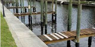 Cape Commons Gallery 19