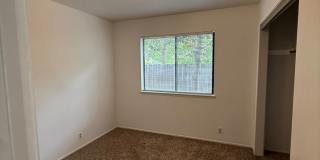 Beautiful 3 Bed, 2 Bath Home in Prime Location Beautiful 3 Bed, 2 Bath Home in Prime Location Gallery 4