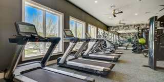 Napa Oaks Gallery 23