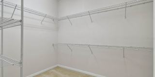 27806 Autumn Breeze Circle Gallery 38