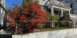 Beautiful Duplex (2nd&3rd Floor) Available 6/1/26 (Super Close to Tufts University) Gallery 4