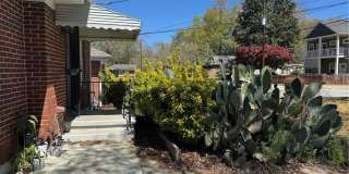 276 Murray Hill Avenue Gallery 18