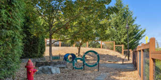 Vue Issaquah Gallery 19