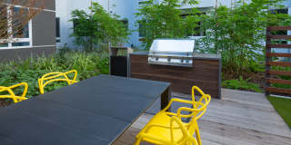 The Harlowe Apartment Homes Gallery 10