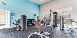 Plantation Crossing Gallery 14