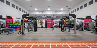 Zone Gallery 19