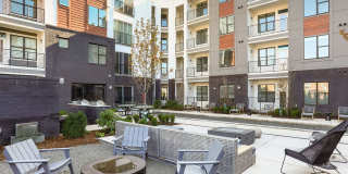 The Patton Gallery 55