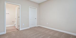 5168 Foxtail Pine Street Gallery 21