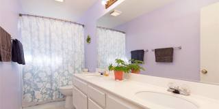 19 Tennessee Gallery 26