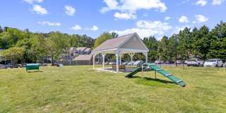 Steeplechase Gallery 28