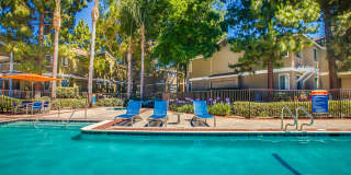 Island Club Apartments Island Club Apartments Gallery 22