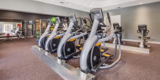 TGM Palm Aire Gallery 25