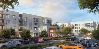 Ocean Creek Gallery 2