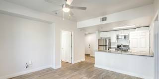 View at University Center Gallery 8