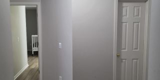 2940 Mulberry Lane Gallery 3