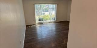 2006 Diamond St Gallery 4