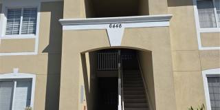 6446 CYPRESSDALE Drive Gallery 12