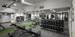 Las Palmas Gallery 8