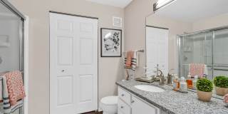 The Chapman Gallery 17