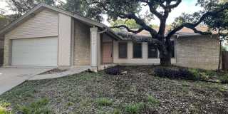 9123 Alpine Trail Street Gallery 2
