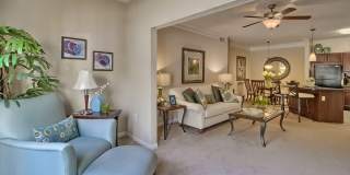 Lullwater at Saluda Pointe Gallery 22