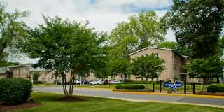 Colonial Square Gallery 16