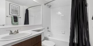 Alvista Hollywood Gallery 63