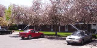 Village Green at Lakewood Gallery 1