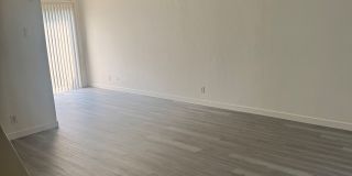 1247we 1247we Gallery 1