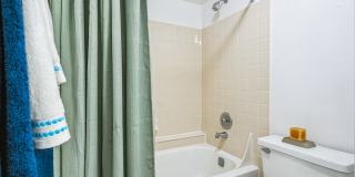 Boca Colony Gallery 9