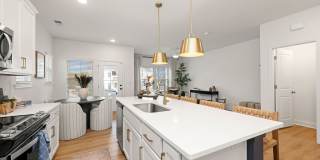 Marglyn Matthews Gallery 7