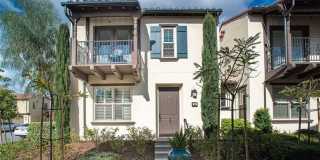 50 Emerald Clover Gallery 1
