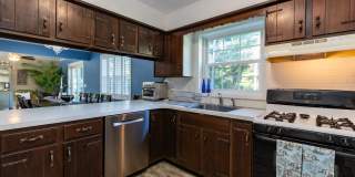 1 Patricia Lane Gallery 11