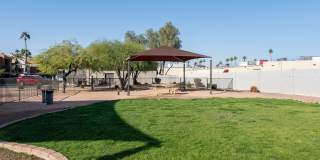 Renaissance Gallery 42