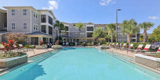 The Lotus at Starkey Ranch Gallery 28