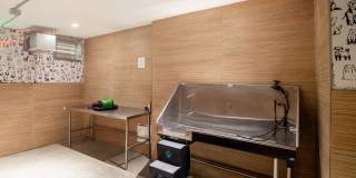 Olivine Gallery 27