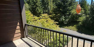 Stunning Contemporary townhome in Coveted Peterkort Woods, near St. Vincent's in Cedar Mill Stunning Contemporary townhome in Coveted Peterkort Woods, near St. Vincent's in Cedar Mill Gallery 20