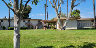 Plaza Verde Plaza Verde Gallery 12
