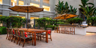 Paragon at Old Town Gallery 13