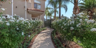 Colony Townhomes Gallery 52