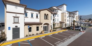 Senior Housing- Palmia, Age 55+ Luxury Apartments Gallery 47