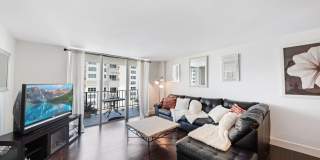 1147 Hillsboro Mile Gallery 2