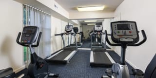 Top of the Hill Apartments Gallery 19