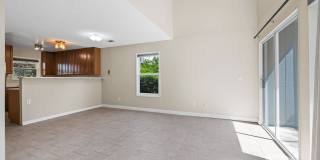 8244 Windmill Farms Drive - 1 8244 Windmill Farms Drive - 1 Gallery 4