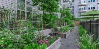 Heirloom Flats Heirloom Flats Gallery 27