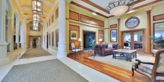 St Johns River Views! Gallery 24