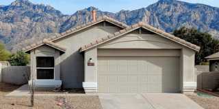 13212 N Classic Overlook Court Gallery 1