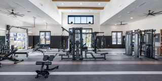 The Hadley Gallery 20