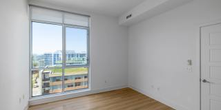 Lex and Leo at Waterfront Station Gallery 15