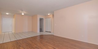 Home Avenue Gallery 2